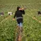 Field workers © Adobe Stock