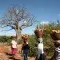 Carrying baobab © UEBT