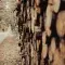 Wood © Unsplash