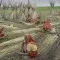 Women working at the jute harvest in a field, sorting the stalks. SUJAN SARKAR / Climate Visuals Countdown
