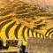 Landscape of farming on a large yellow hill with small buildings