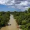 Drone view of the Combu Island in Belem © Alex Ferro, COP30 Brasil Amazonia