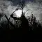 Sugar farmer cutting down sugar cane on a cloudy day © Fair Trade USA