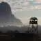 Cotton field with water tower © Better Cotton Initiative
