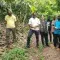 ISEAL Innovations Fund, Fairtrade and Mondelēz International Cocoa Cooperative Organisational Strengthening Programme (CCOSP) staff at cocoa cooperative