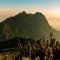 Pico Parana in Brazil, mountains with sunset and clouds in the background, plants in the foreground 