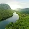 River flowing through rainforest landscape © Adobe Stock