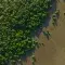Aerial view of an empty field meeting a forest of trees © Adobe Stock