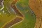 S-shaped rows of crops