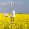 Wind measuring tool in a bright yellow field of flowers © Shutterstock