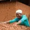 Woman drying out cocoa beans in Ghana &copy; Fairtrade