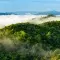 Forest and mountains covered in green trees with white clouds above the treeline