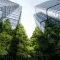 Green trees and office buildings