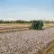 Combine harvester cotton farming © Unsplash