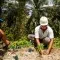 Workers in field with tropical background planting © Jonathan Perugia for Roundtable for Sustainable Palm Oil