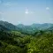 Green forest landscape with mountains in the background covered in trees © Pexels
