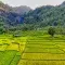 A network of stepped rice paddies divided by irrigation ditches with a number of homesteads visible with mountains and a waterfall © Pexels