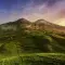 Fields with a mountain in the distance